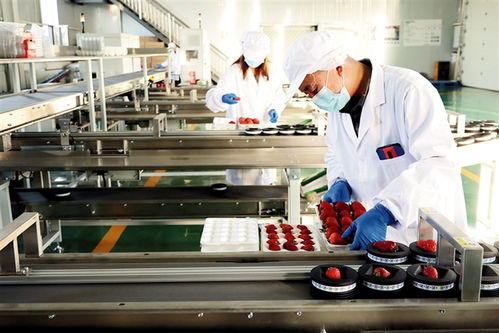 鄂爾多斯 建設(shè)農(nóng)副產(chǎn)品電商服務(wù)中心，賦能養(yǎng)生保健服務(wù)新生態(tài)